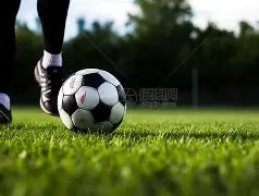 年欧洲杯举,办城市场馆,攻略,新葡京,新葡京app,新葡京娱乐,新普京赌场