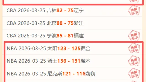 绿茵争霸：萨斯菲尔德与博卡青年，谁将独占鳌头？
